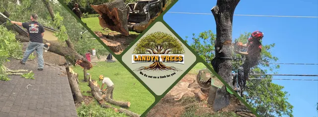Landyn Trees — photo from the business 1