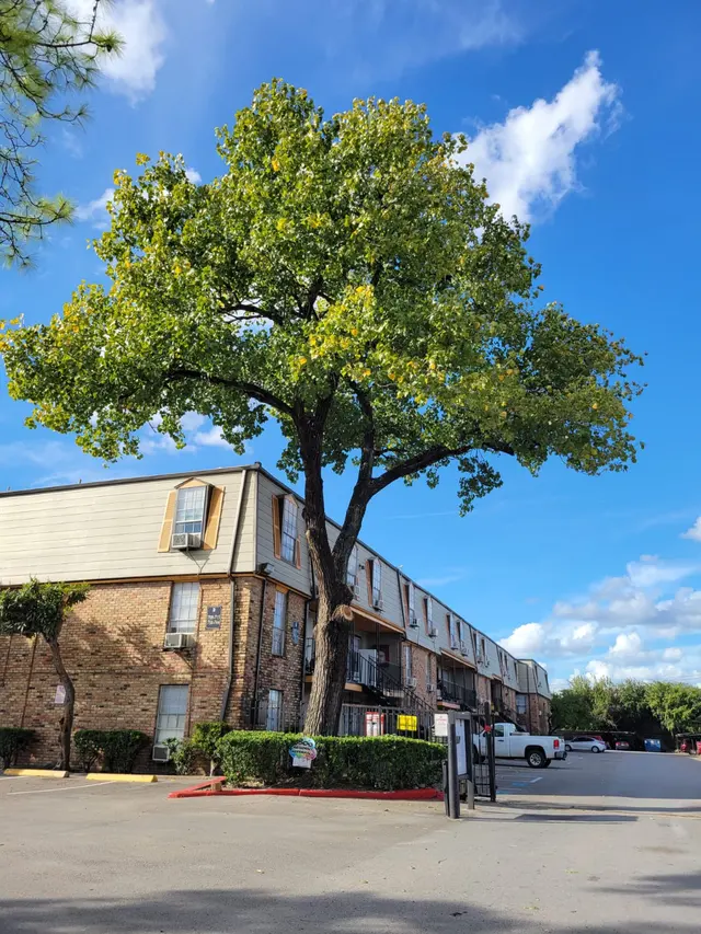 Greenfield Tree Services LLC — customer photo 4