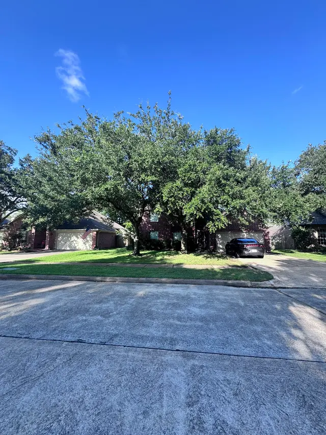 Greenfield Tree Services LLC — customer photo 7