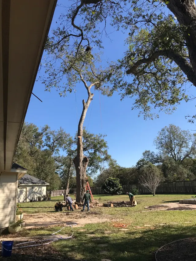 Greenfield Tree Services LLC — customer photo 5