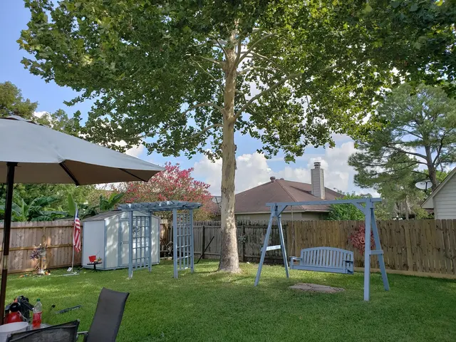 Texas Tree Legends — customer photo 9