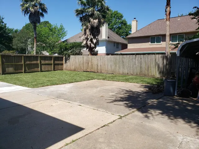 Texas Tree Legends — customer photo 3