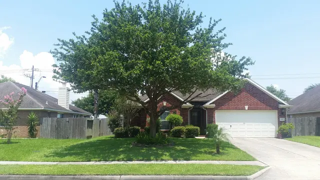 Texas Tree Legends — customer photo 2