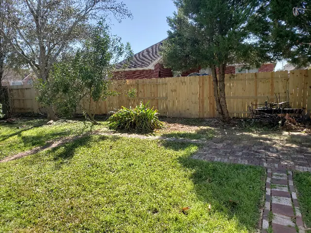 Texas Tree Legends — customer photo 5