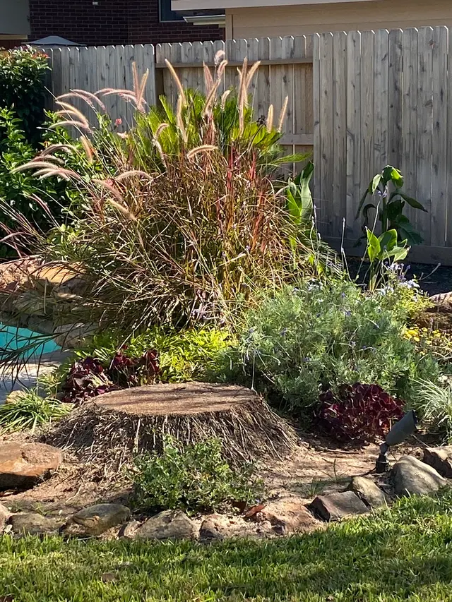 Customer photo from Susan's review