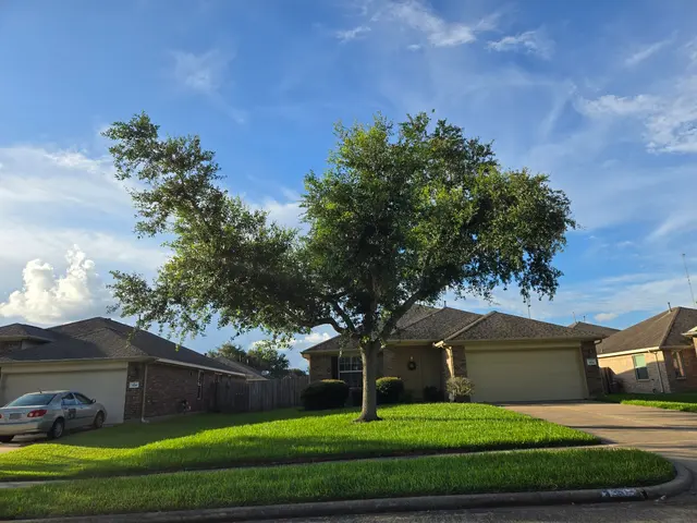 Customer photo of work by Emigdio Tree Service LLC, from Denise Blanco's review
