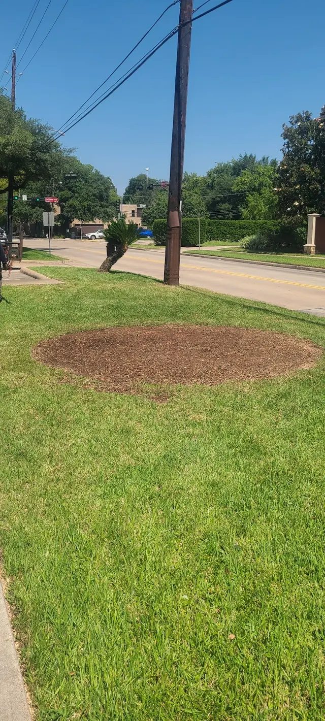 Emigdio Tree Service LLC — customer photo 12