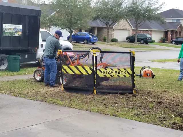 Emigdio Tree Service LLC — photo from the business 7