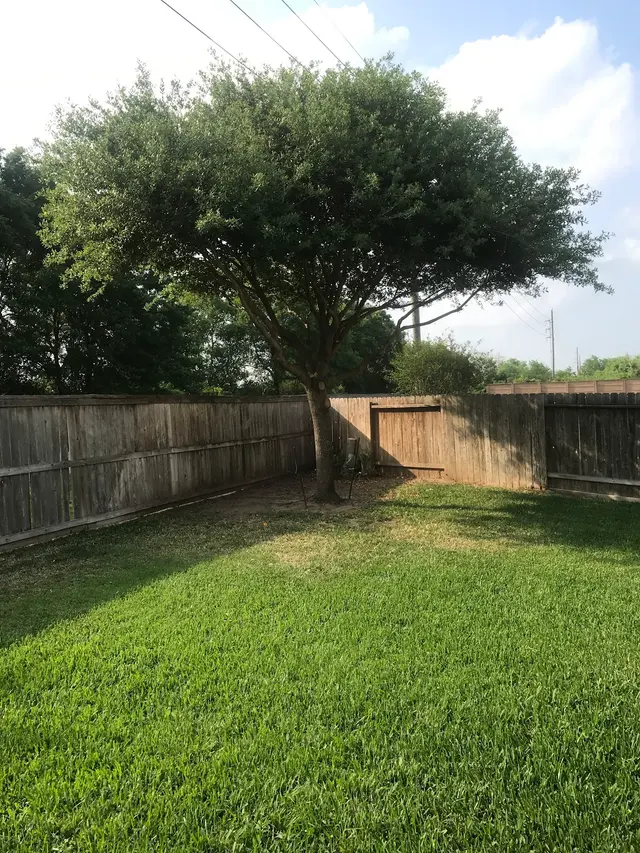 Customer photo from Robert's review