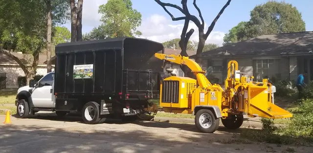 Emigdio Tree Service LLC — photo from the business 1