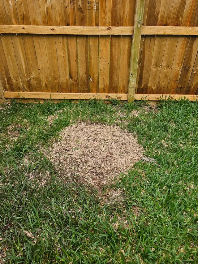 Emigdio Tree Service LLC — photo from the business 6