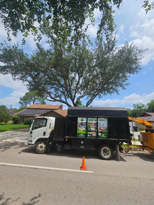 Emigdio Tree Service LLC — photo from the business 4