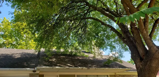Emigdio Tree Service LLC — photo from the business 8