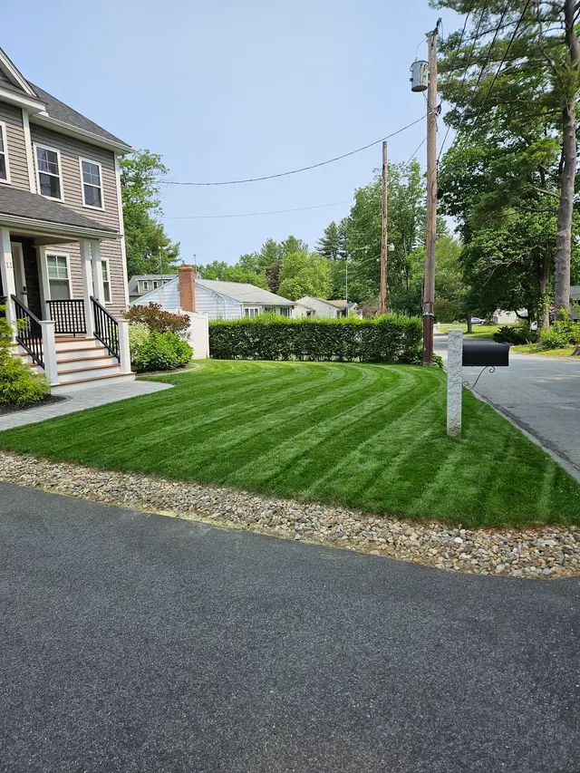 Velvet Green Organic Lawn Care — customer photo 1