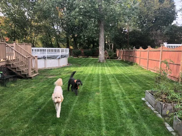 Customer photo from Graphic's review