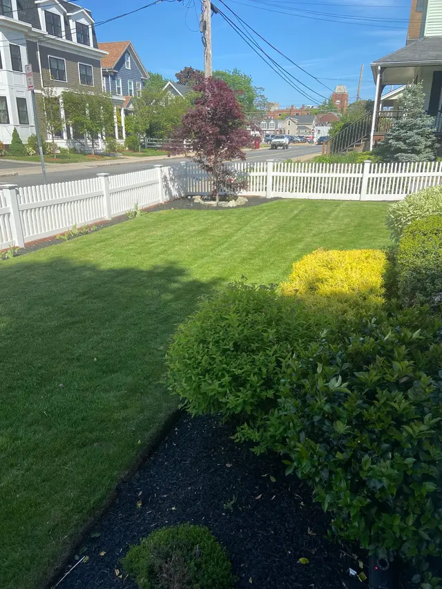Velvet Green Organic Lawn Care — customer photo 8