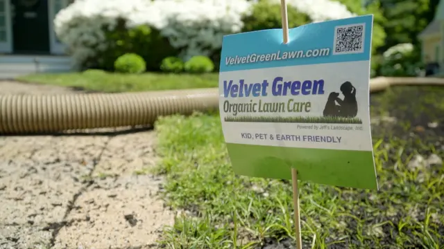 Velvet Green Organic Lawn Care — photo from the business 5