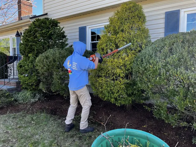Simply Lawn Care Services — photo from the business 8