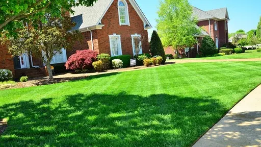 The Yard General AG INC — photo from the business 1