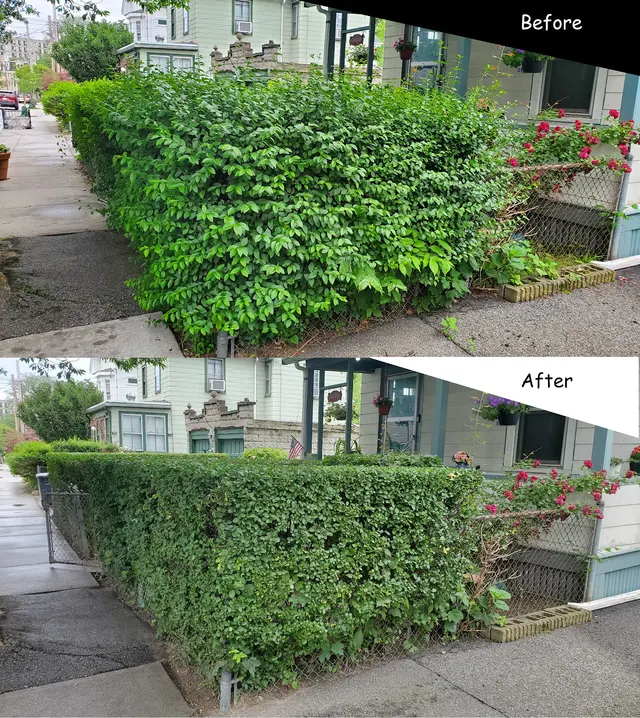 The Yard General AG INC — photo from the business 4