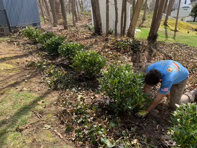 Simply Lawn Care Services — photo from the business 12