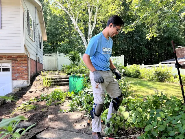 Simply Lawn Care Services — photo from the business 6