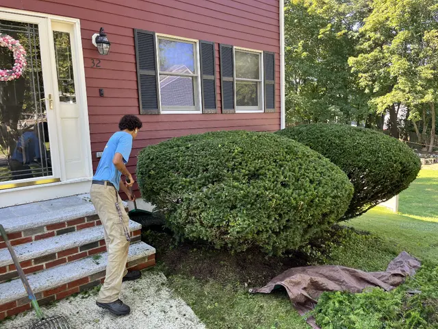 Simply Lawn Care Services — photo from the business 5