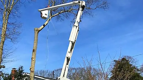 P.J.R Landscaping & Tree Service Corp — photo from the business 1