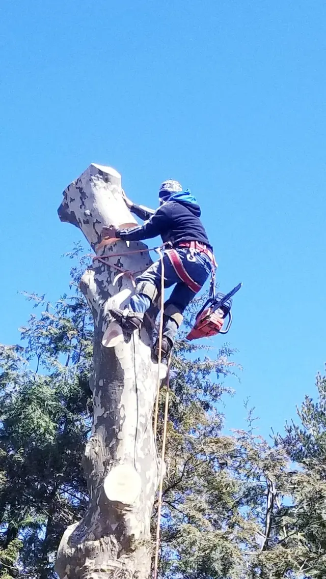P.J.R Landscaping & Tree Service Corp — photo from the business 2