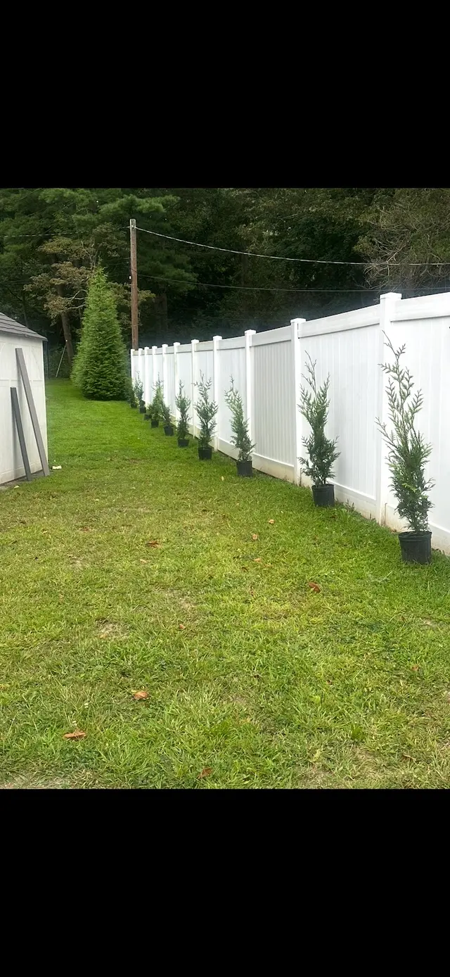 P.J.R Landscaping & Tree Service Corp — customer photo 5