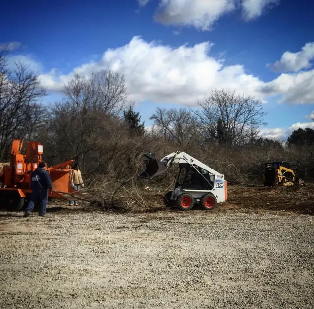Ramalho Tree Service — photo from the business 11
