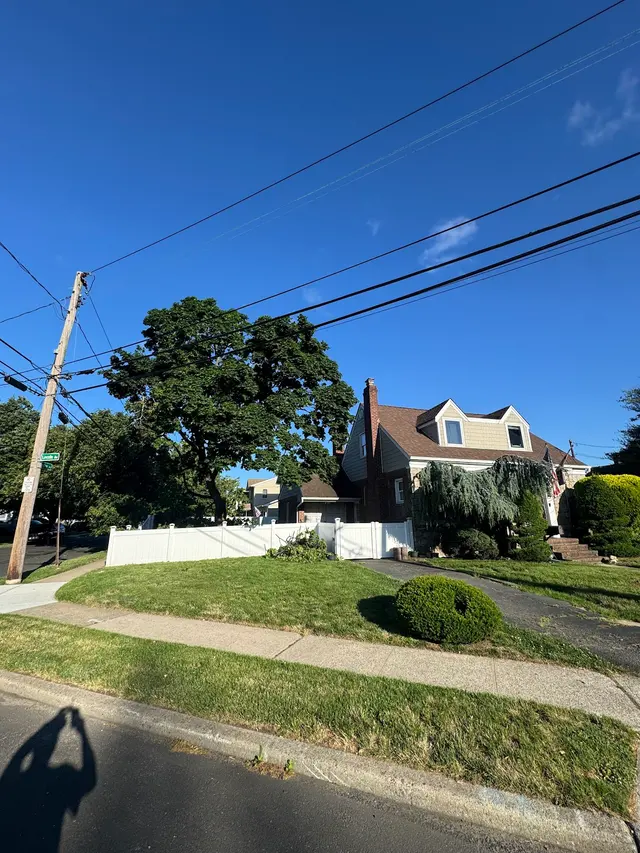 Ramalho Tree Service — customer photo 10