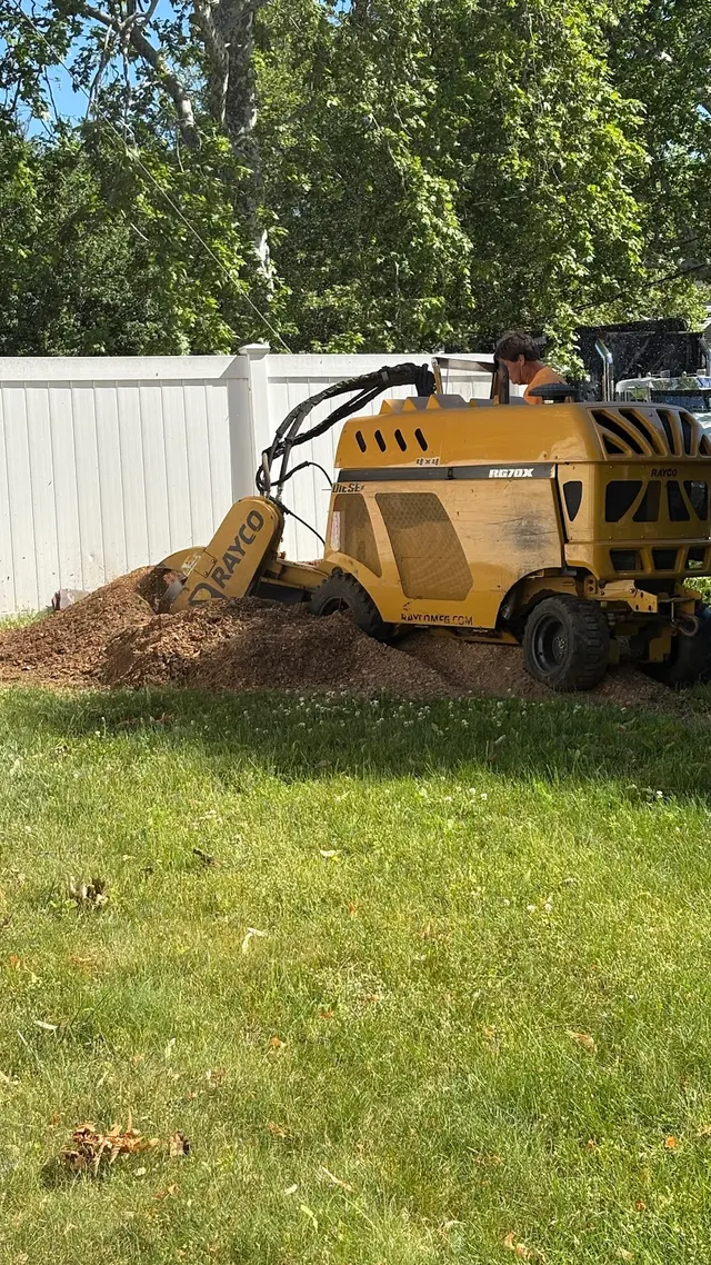 Ramalho Tree Service — customer photo 7