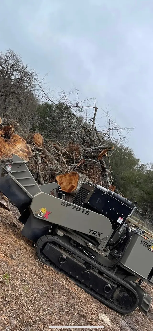 Timber Wood Tree Service — photo from the business 6