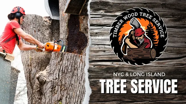 Timber Wood Tree Service — photo from the business 8
