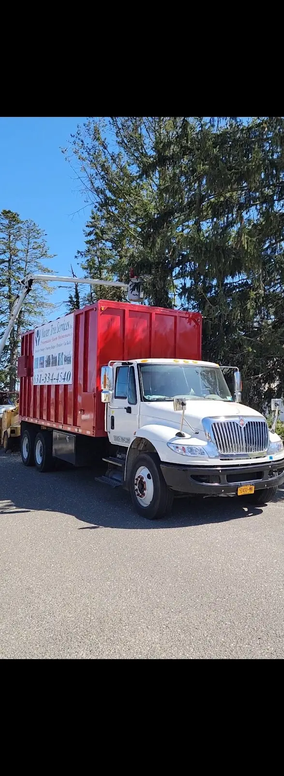 Master Tree Services Inc. — photo from the business 3