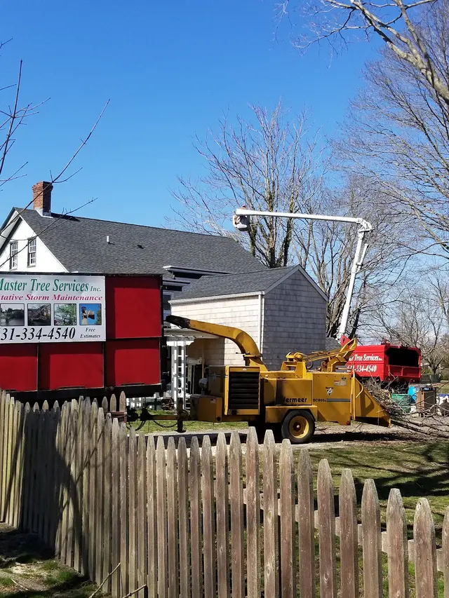 Master Tree Services Inc. — photo from the business 12