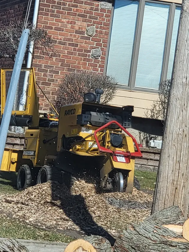 Master Tree Services Inc. — photo from the business 5
