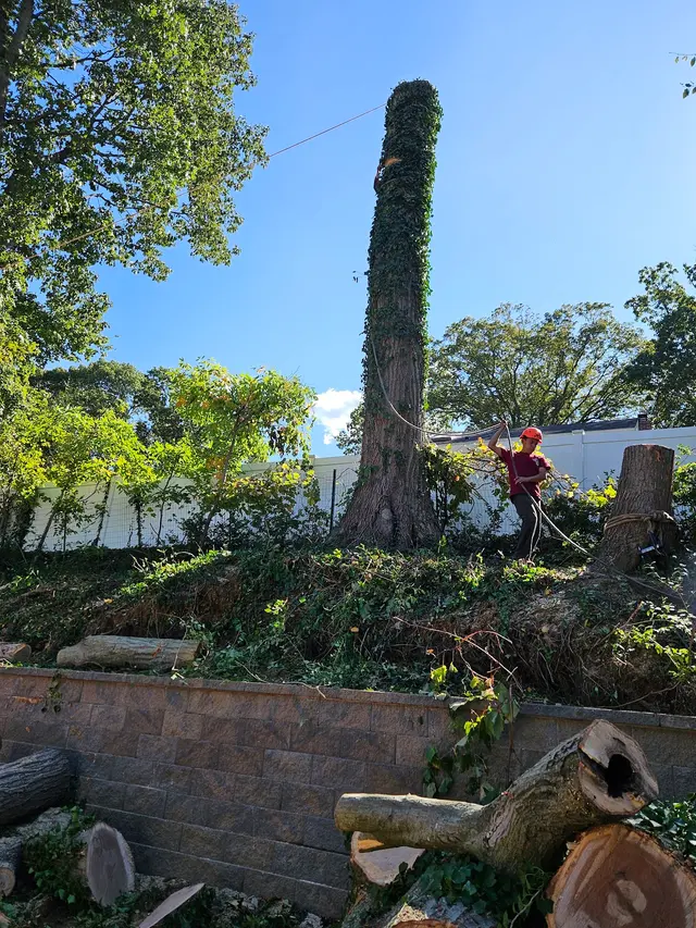 Master Tree Services Inc. — photo from the business 10