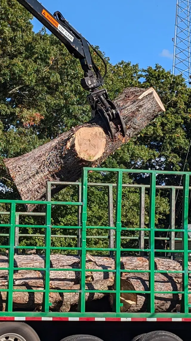 Anderson's Tree Service Inc. — customer photo 8