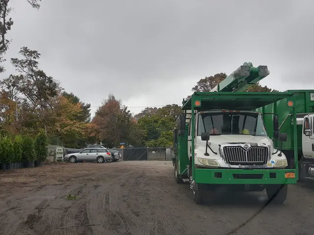 Anderson's Tree Service Inc. — customer photo 10