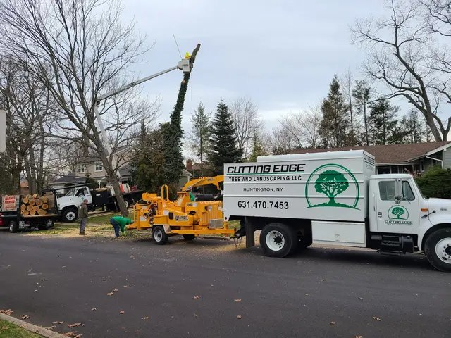 Cutting Edge Tree and Landscaping LLC — customer photo 6