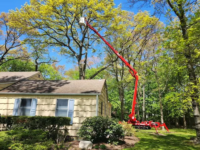 Cutting Edge Tree and Landscaping LLC — photo from the business 4