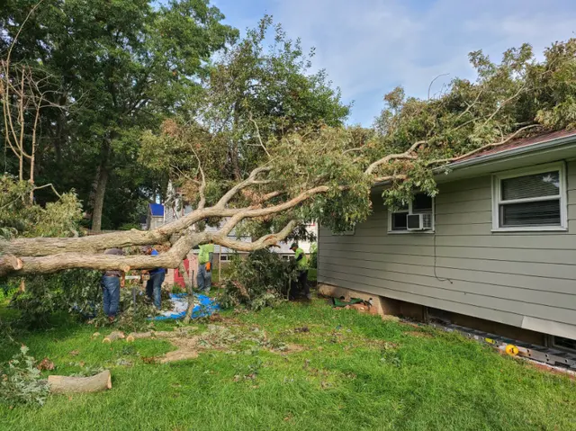 Cutting Edge Tree and Landscaping LLC — photo from the business 10