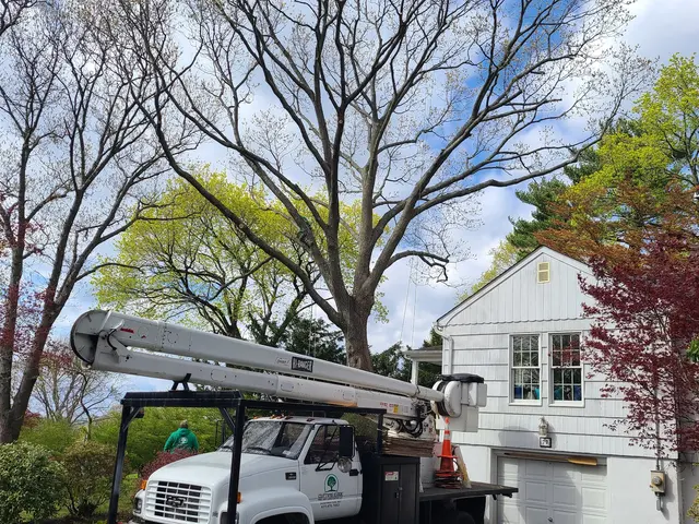 Cutting Edge Tree and Landscaping LLC — customer photo 11