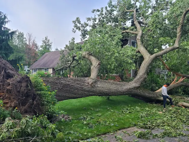 Cutting Edge Tree and Landscaping LLC — customer photo 5
