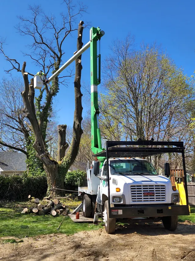 Cutting Edge Tree and Landscaping LLC — photo from the business 2
