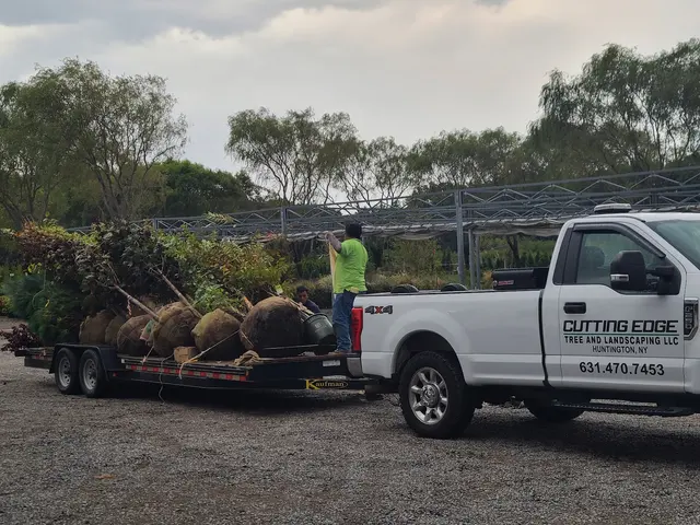 Cutting Edge Tree and Landscaping LLC — customer photo 9
