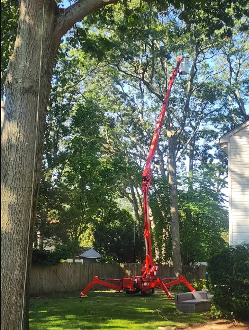 Cutting Edge Tree and Landscaping LLC — photo from the business 3