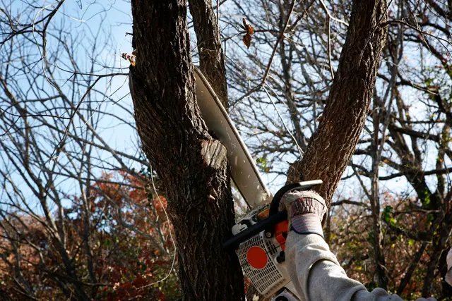 Allstate Tree & Shrub Corp. — photo from the business 7
